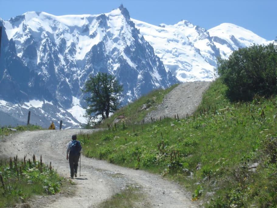 Appartement Au Pays Du Mont-Blanc Sallanches Exterior foto